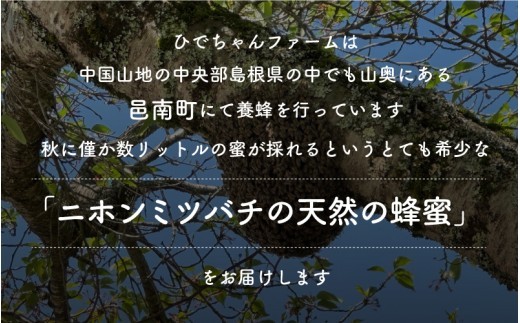 日本ミツバチ ひでちゃんの蜂蜜