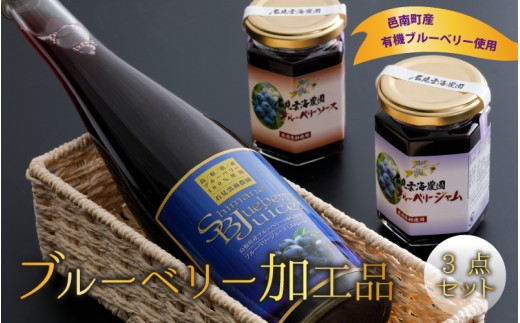 ブルーベリー加工品3点セット