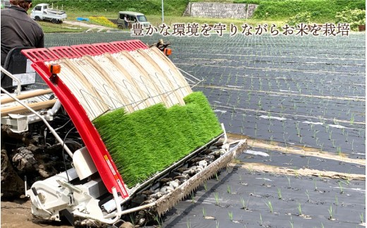 令和8年産 有機JAS認証米 有機於保地米 つや姫10kg(5kg×2袋)