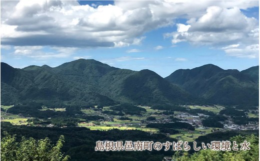 令和8年産 有機JAS認証米 有機於保地米 つや姫10kg(5kg×2袋)