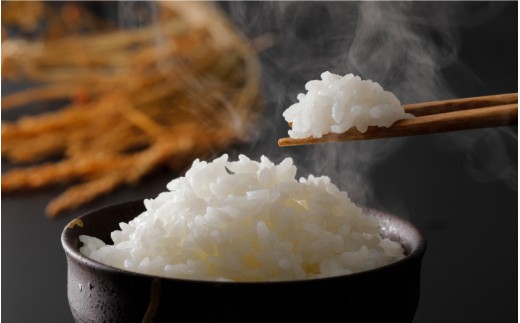 令和8年産! 石見高原みずほ米コシヒカリ 無洗米仕上 5kg
