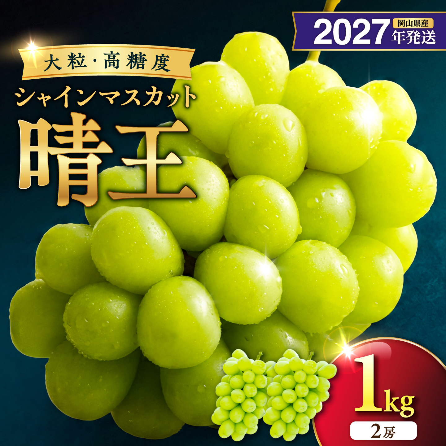 【2027年発送分・先行予約開始！】岡山県産シャインマスカット「晴王」 秀品 約1kg（2房）（令和9年8月中旬～10月頃発送）