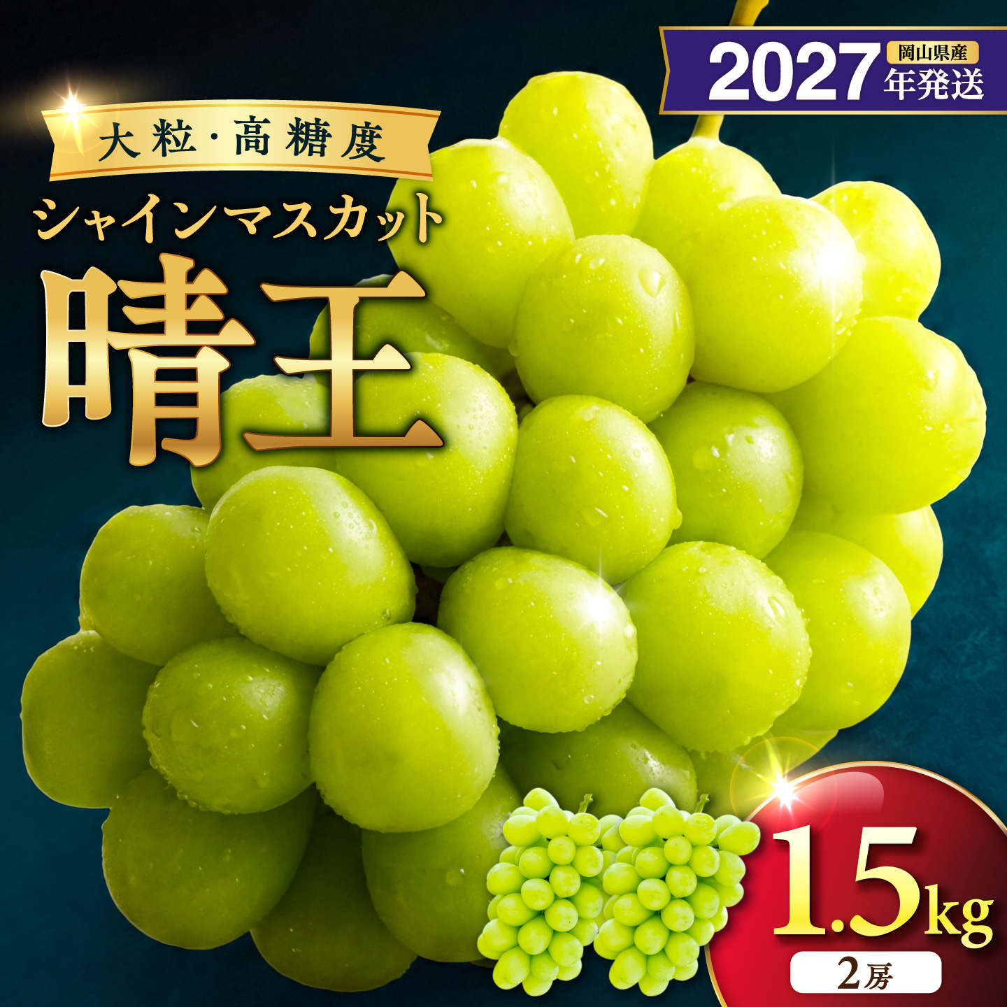 【2027年発送分・先行予約開始！】岡山県産シャインマスカット「晴王」 秀品 約1.5kg（2房）（令和9年8月中旬～11月頃発送）