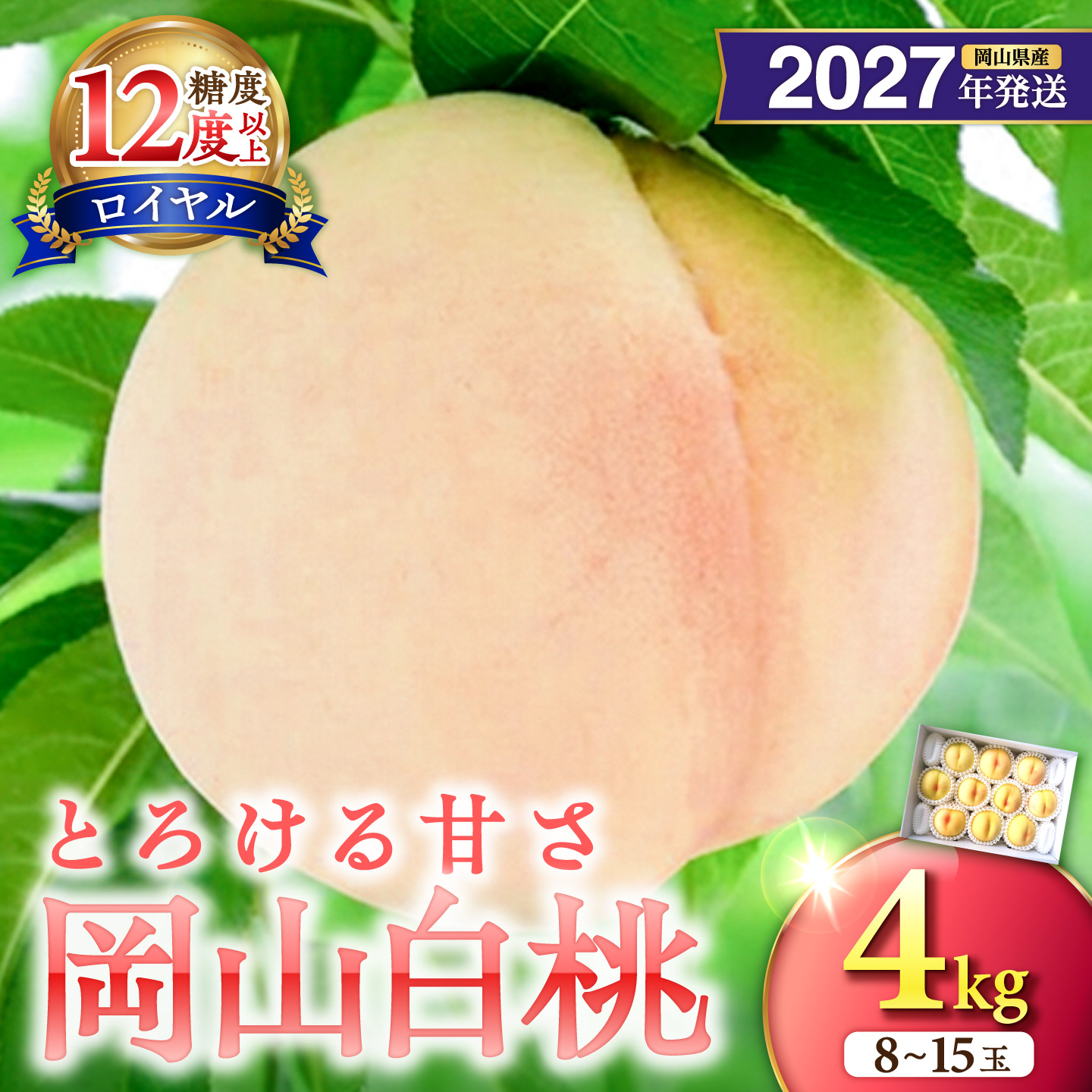 【2027年発送分・先行予約開始！】岡山県産 白桃 最高ランク！「ロイヤル」約4kg（ 8～15玉）（令和9年7月以降発送）