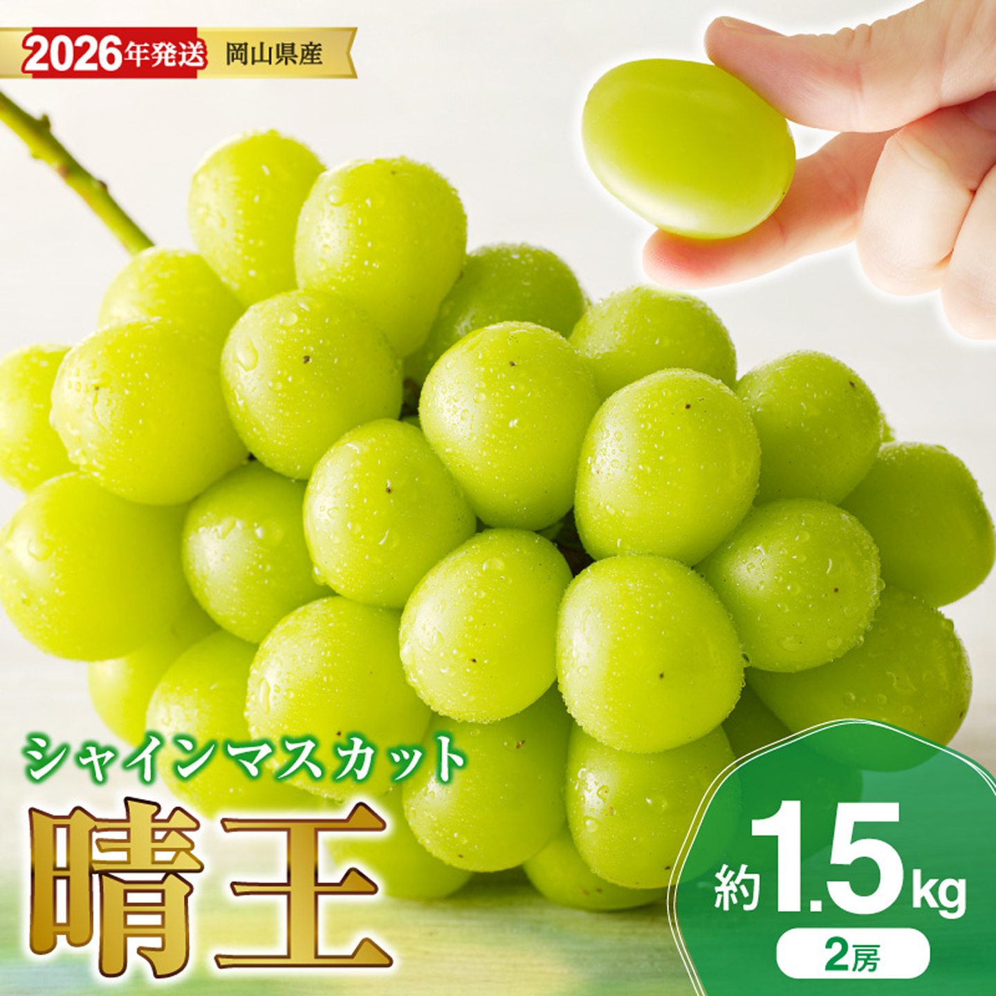 【2026年発送分】岡山県産シャインマスカット「晴王」秀品　約1.5kg（2房）（令和8年8月中旬～11月中旬頃発送）hz-s