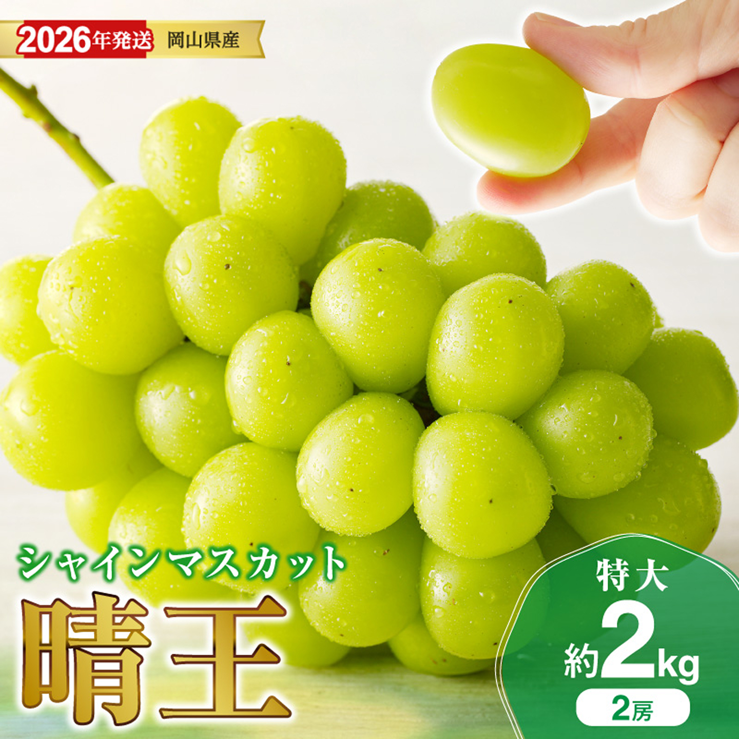 【2026年発送分】岡山県産シャインマスカット 「晴王」秀品（特大サイズ2房・約2kg）（令和8年8月中旬以降発送）【 シャインマスカット 晴王 フルーツ 果物 くだもの 葡萄 ぶどう】hz-s