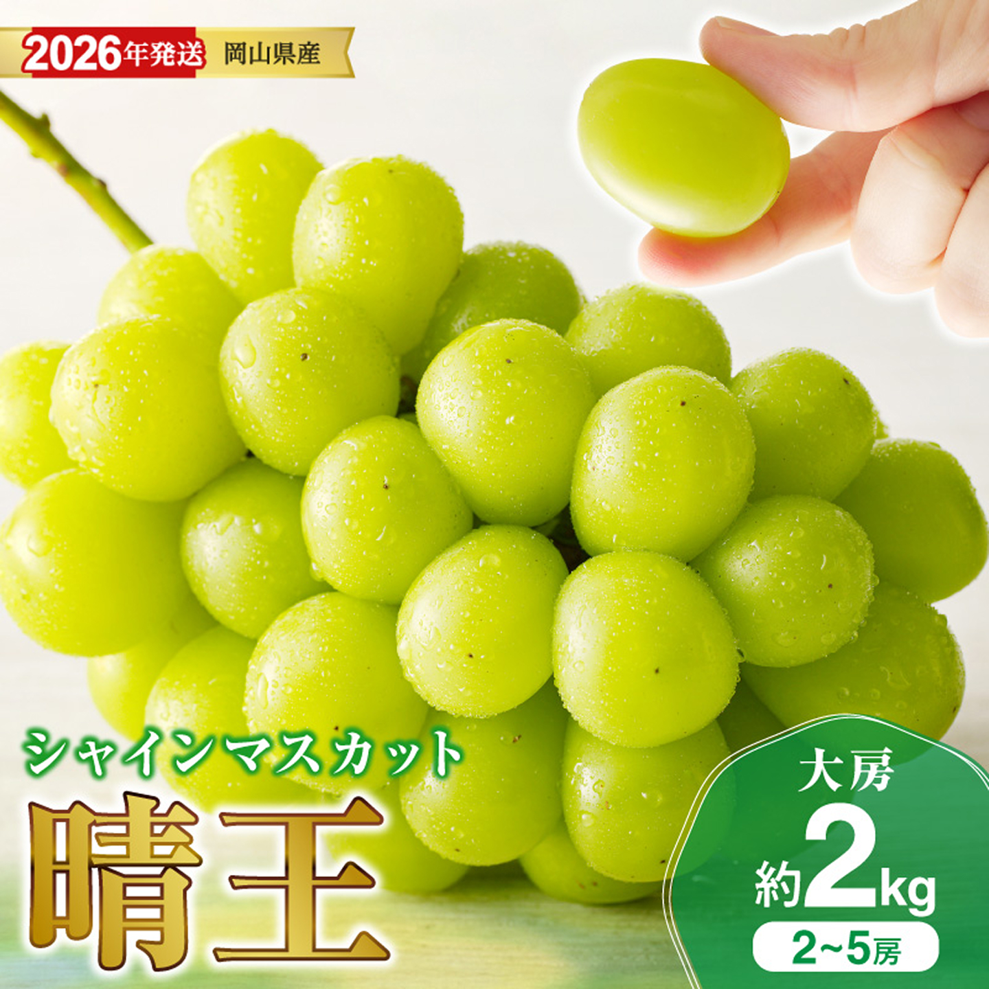 【2026年発送分】岡山県産シャインマスカット「晴王」秀品　大房　（約2kg・2～5房程度）（令和8年8月中旬～11月中旬頃発送）hz-s
