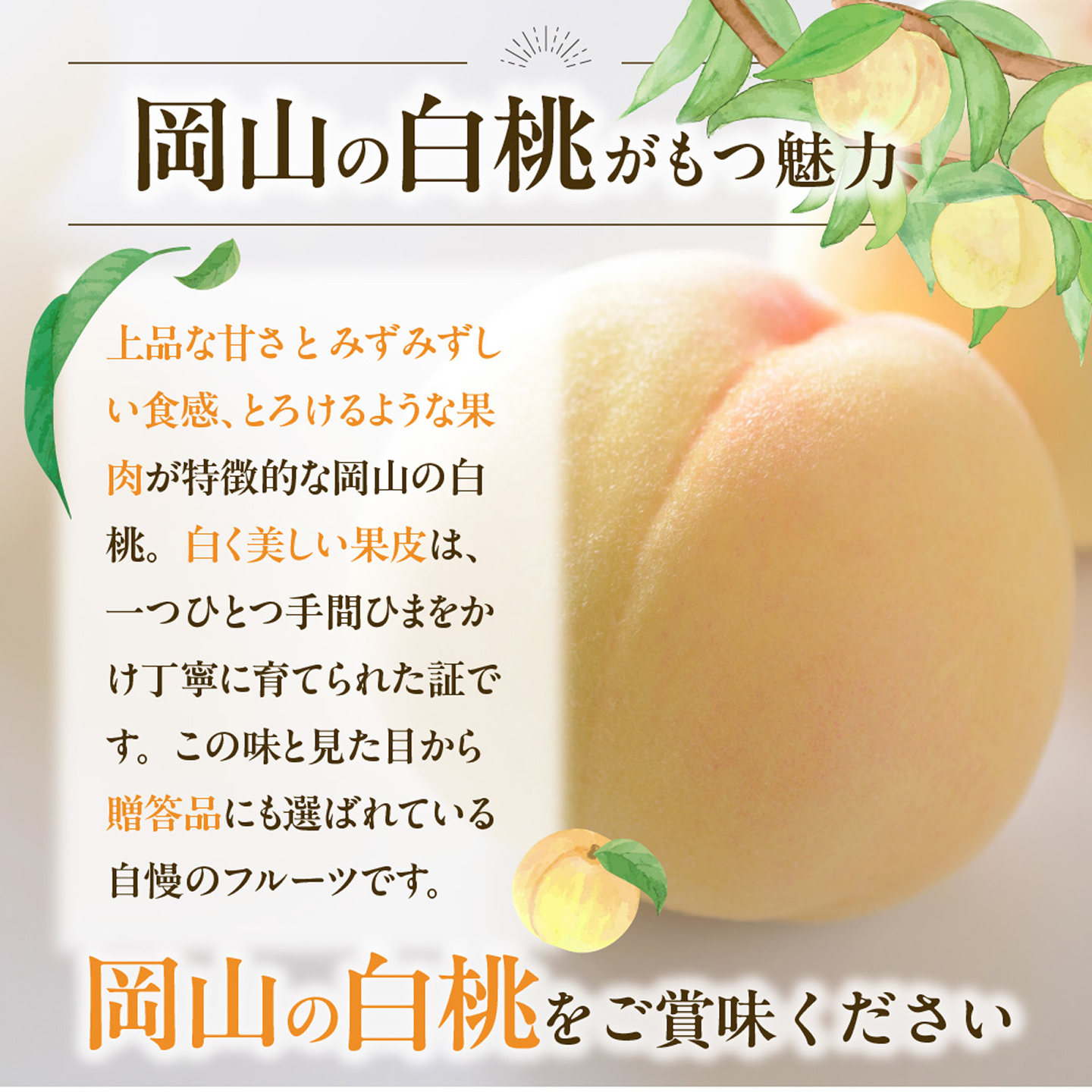 【2027年発送分・先行予約開始！】岡山県産 白桃 約4kg 8～15玉（令和9年7月以降発送）【先行受付 先行予約 白桃 フルーツ 果物 もも 桃 モモ 岡山県産】