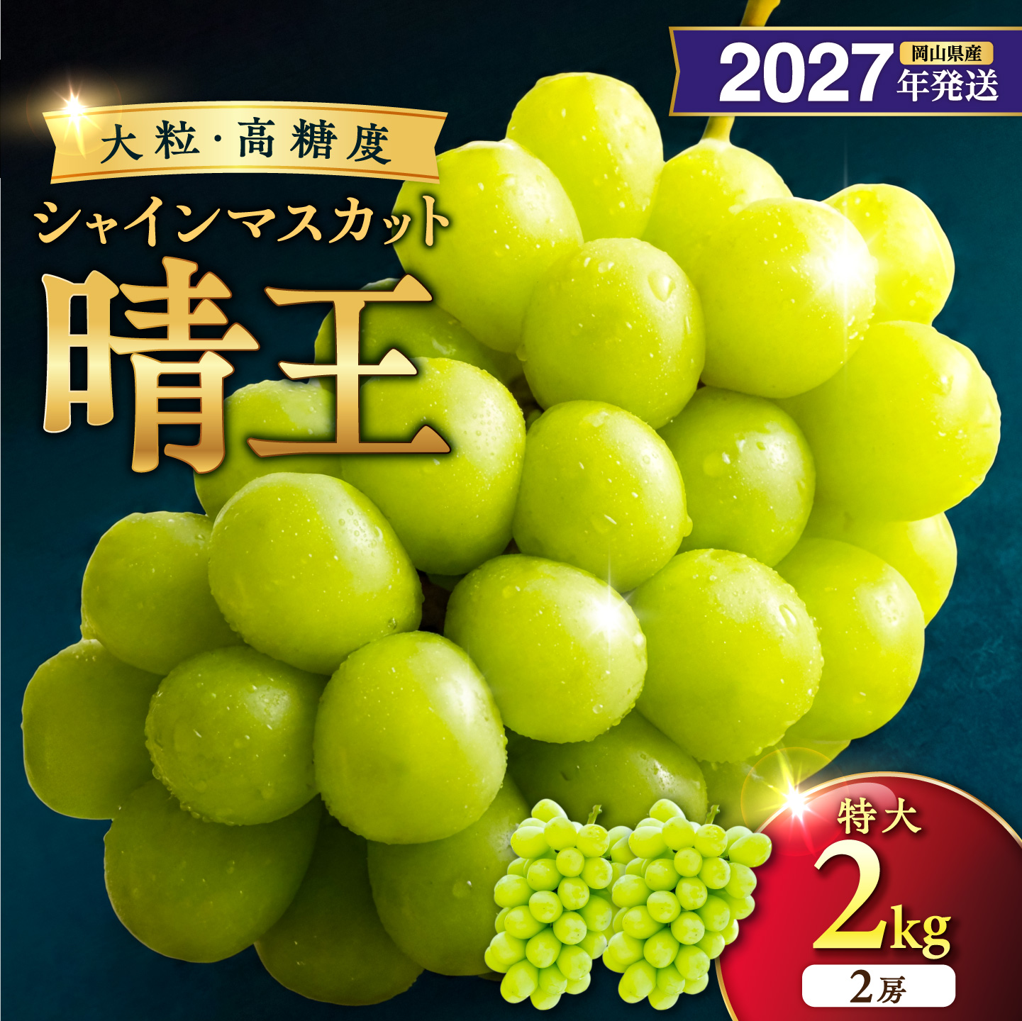 【2027年発送分・先行予約開始！】岡山県産シャインマスカット 「晴王」 秀品　（特大サイズ2房・約2kg）（令和9年8月中旬以降発送）