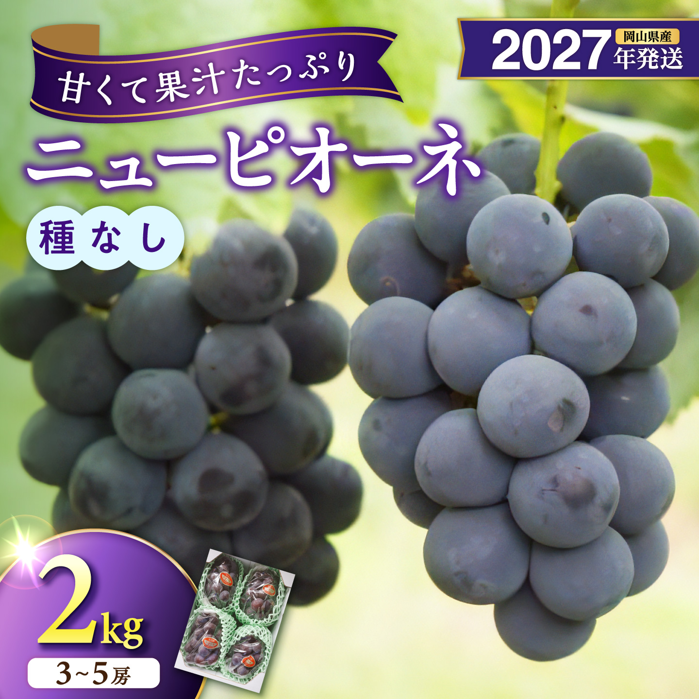 【2027年発送分・先行予約開始！】岡山県産ニューピオーネ 　秀品　約2kg（3～5房程度）（令和9年8月中旬以降発送）【先行受付 先行予約 ニューピオーネ フルーツ 果物 くだもの 葡萄 ぶどう】