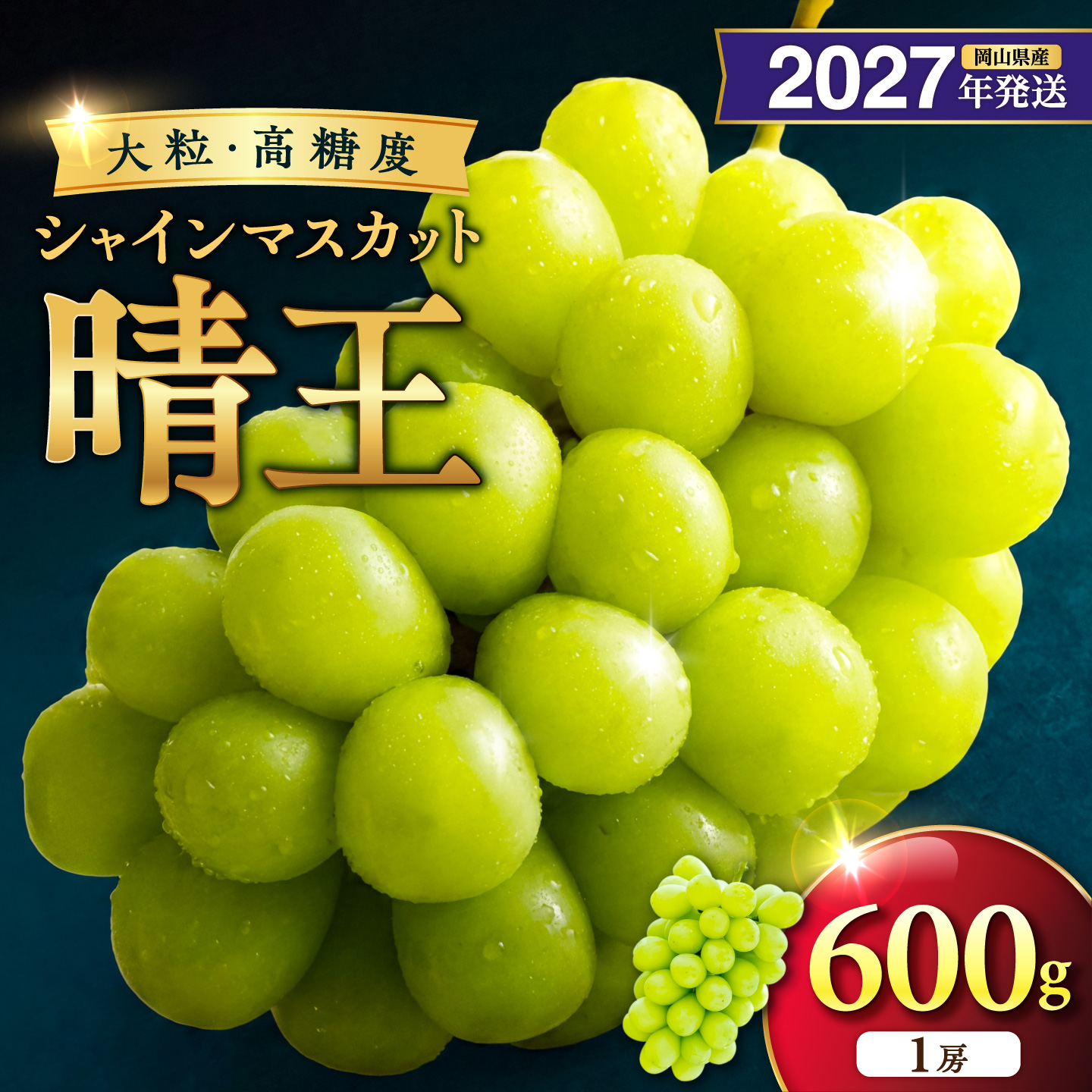 【2027年発送分・先行予約開始！】岡山県産シャインマスカット「晴王」　秀品　1房（約600g）（令和9年8月中旬以降発送）