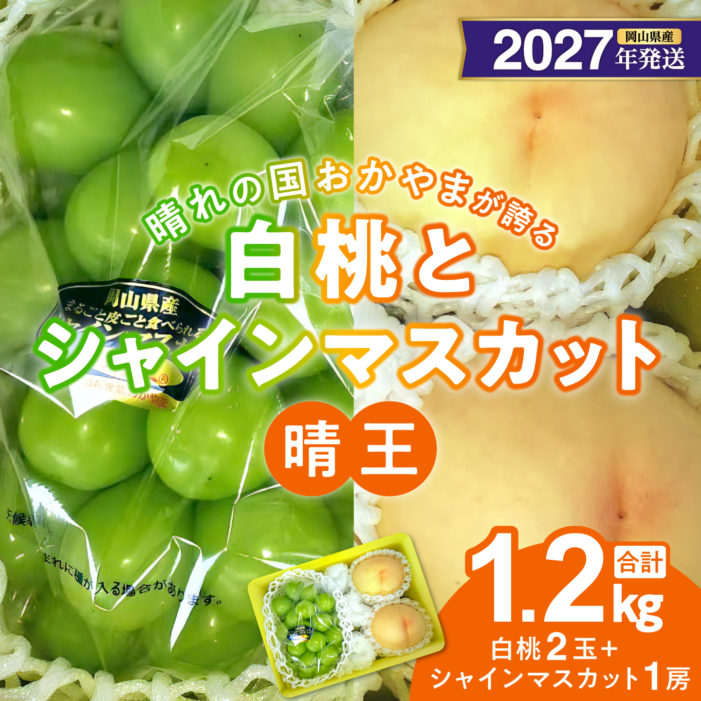 【2027年発送分・先行予約開始！】岡山県産 白桃とシャインマスカットのセット（令和9年7月以降発送）【先行受付 先行予約 白桃 シャインマスカット 晴王 種無し 高糖度】
