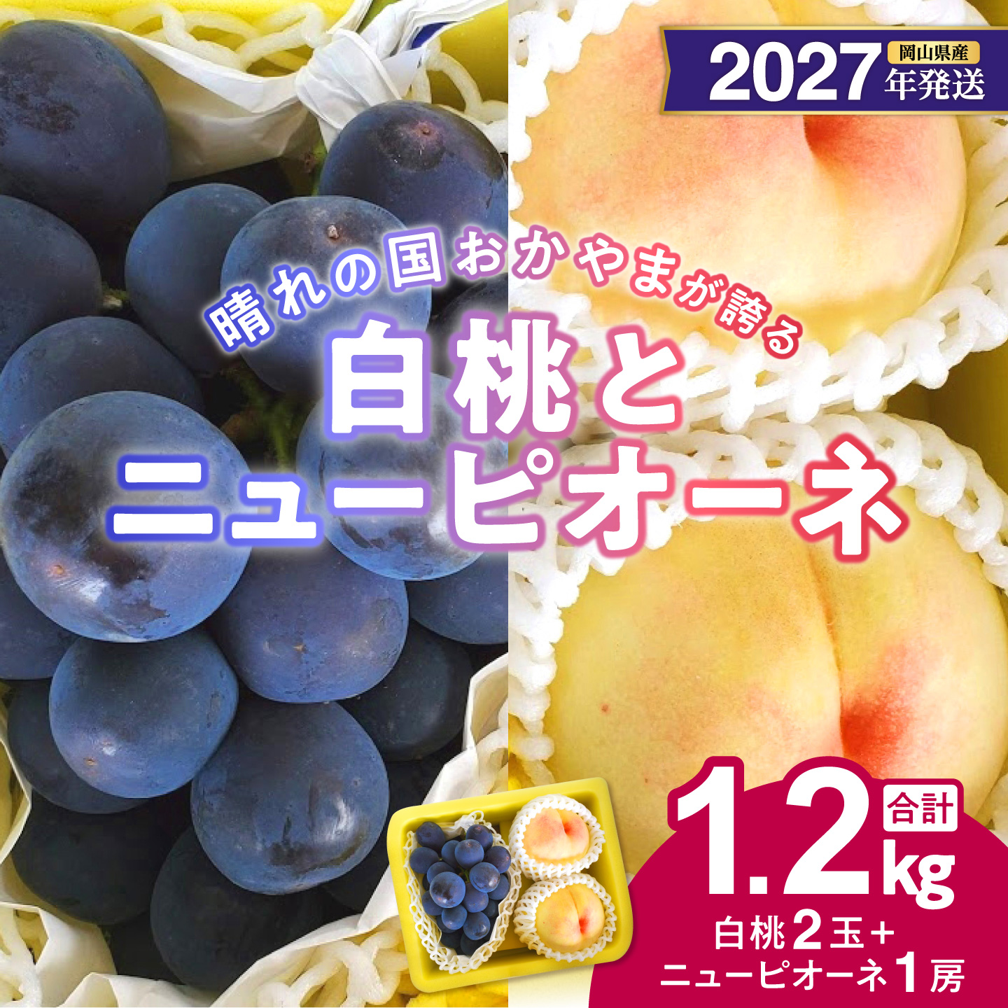 【2027年発送分・先行予約開始！】岡山県産 白桃とニューピオーネのセット（令和9年7月以降発送）【先行受付 先行予約 白桃 ニューピオーネ セット 詰合せ フルーツ 果物 もも 桃 モモ】