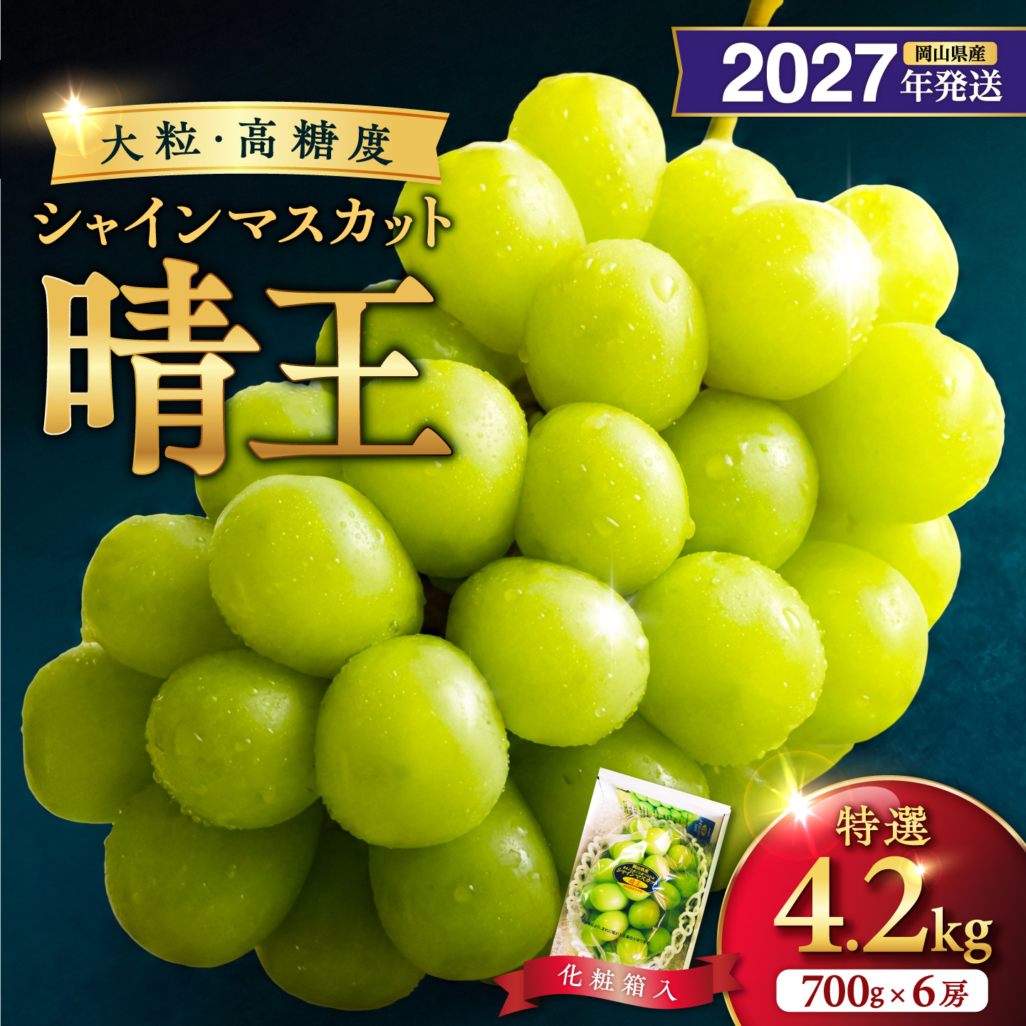 【2027年発送分・先行予約開始！】岡山県産シャインマスカット「晴王」　特選　大房　化粧箱入（約700g×6房）【先行受付 先行予約 シャインマスカット 晴王 フルーツ】