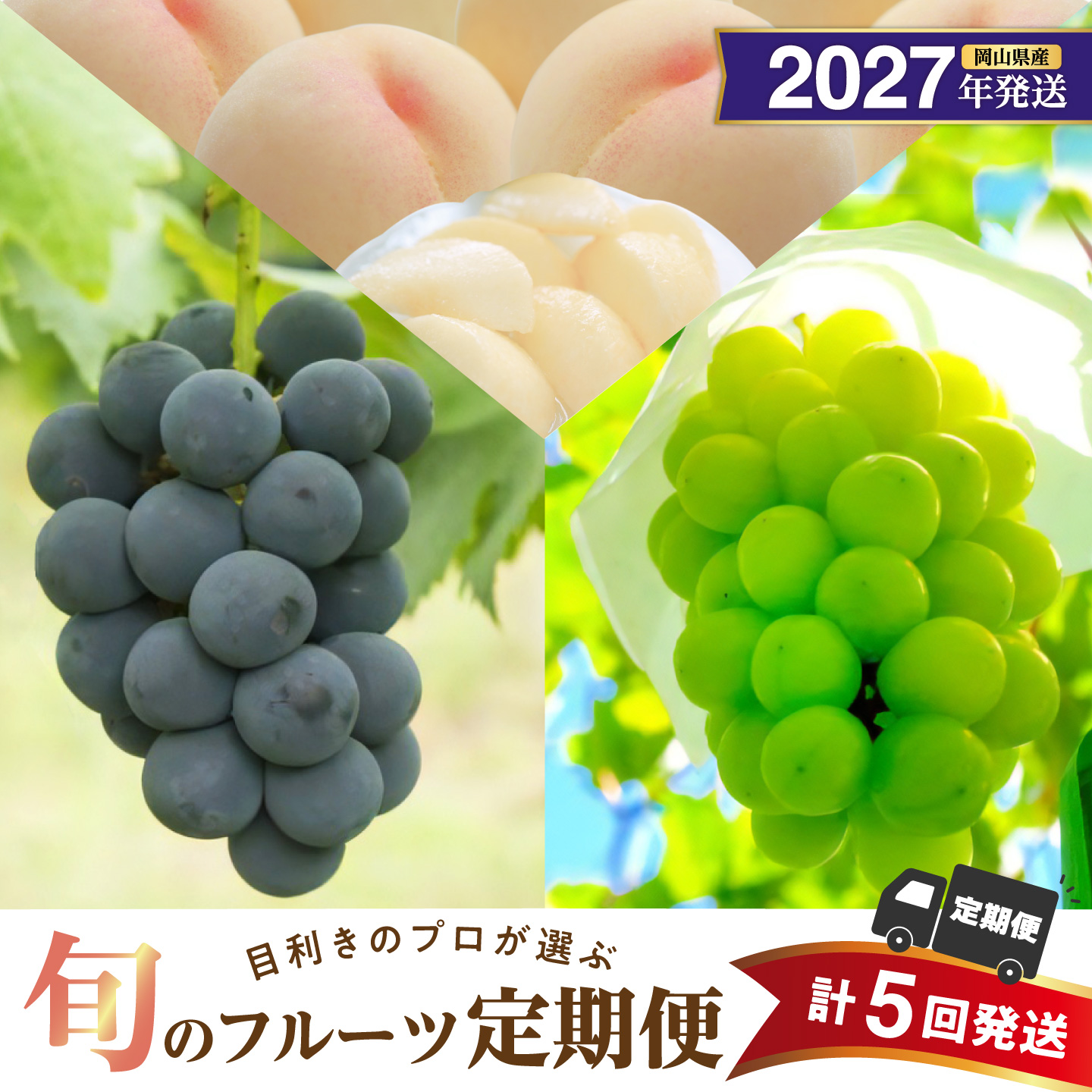 【2027年発送分・先行予約開始！】【定期便】岡山県産 白桃 約4kg・ぶどう 約5kg 計5回発送【先行受付 先行予約 白桃 シャインマスカット ニューピオーネ 晴王】