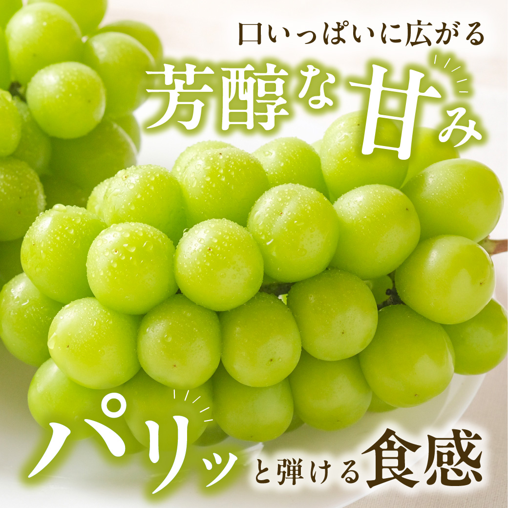 【2027年発送分・先行予約開始！】【定期便】岡山県産 白桃 約4kg・ぶどう 約5kg 計5回発送【先行受付 先行予約 白桃 シャインマスカット ニューピオーネ 晴王】