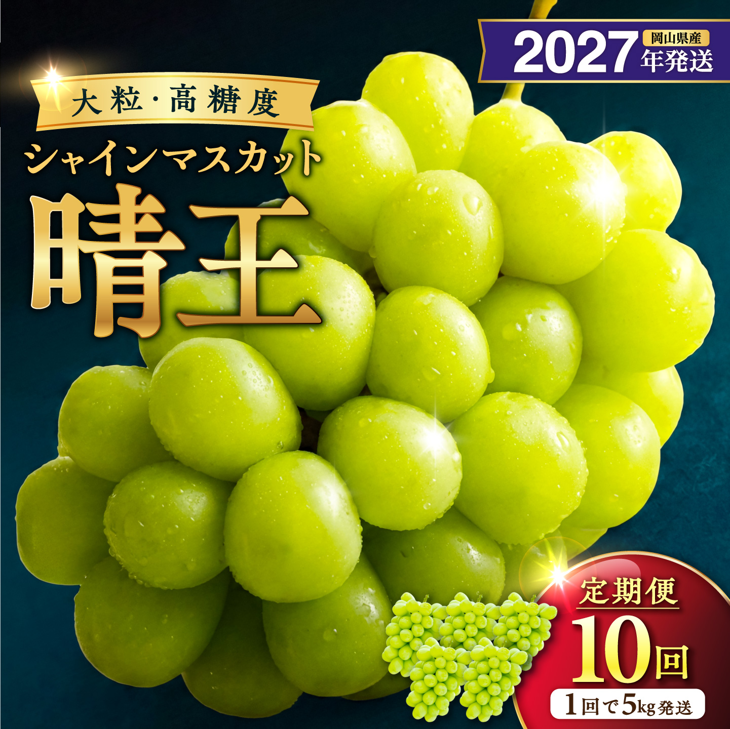 【2027年発送分・先行予約開始！】【定期便】岡山県産シャインマスカット「晴王」　秀品　大房（約5kg・5～9房目安）×10回発送（令和9年7月以降発送）