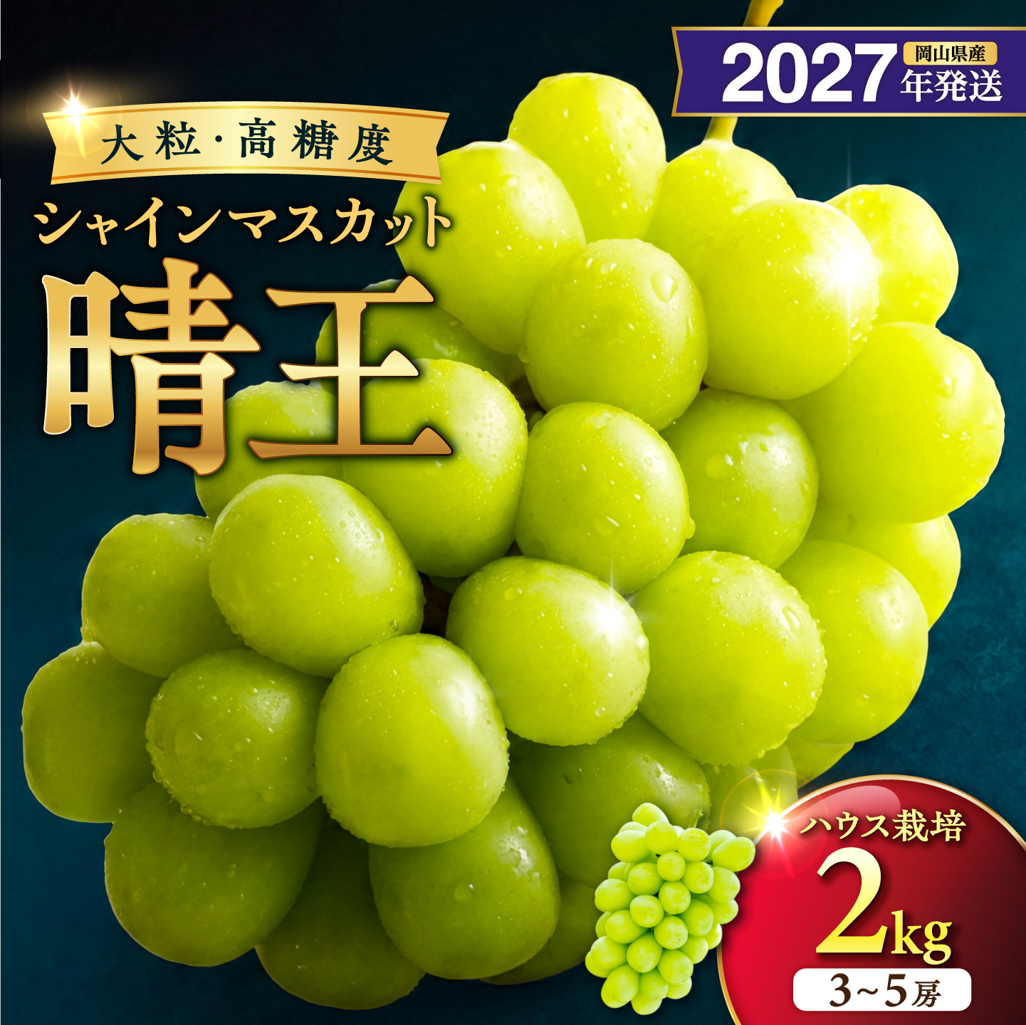 【2027年発送分・先行予約開始！】岡山県産シャインマスカット「晴王」【ハウス栽培】（約2kg・3～5房程度）（令和9年7月以降発送）