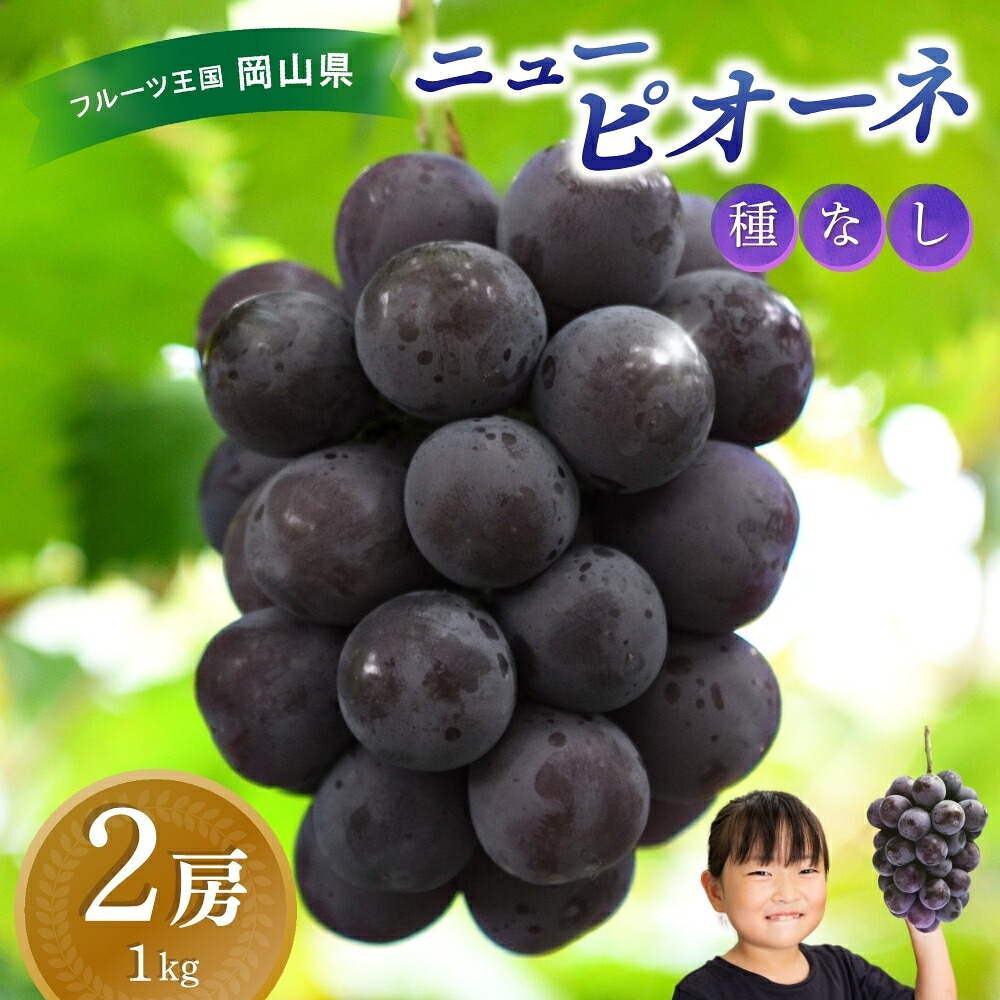 【2026年発送 先行予約】岡山県産贈答用ピオーネ 除草剤不使用 1kg2房 約1kg|ピオーネ 岡山ピオーネ ピオーネ ぴおーね ぶどう 葡萄 ブドウ 果物 【hana014-03】