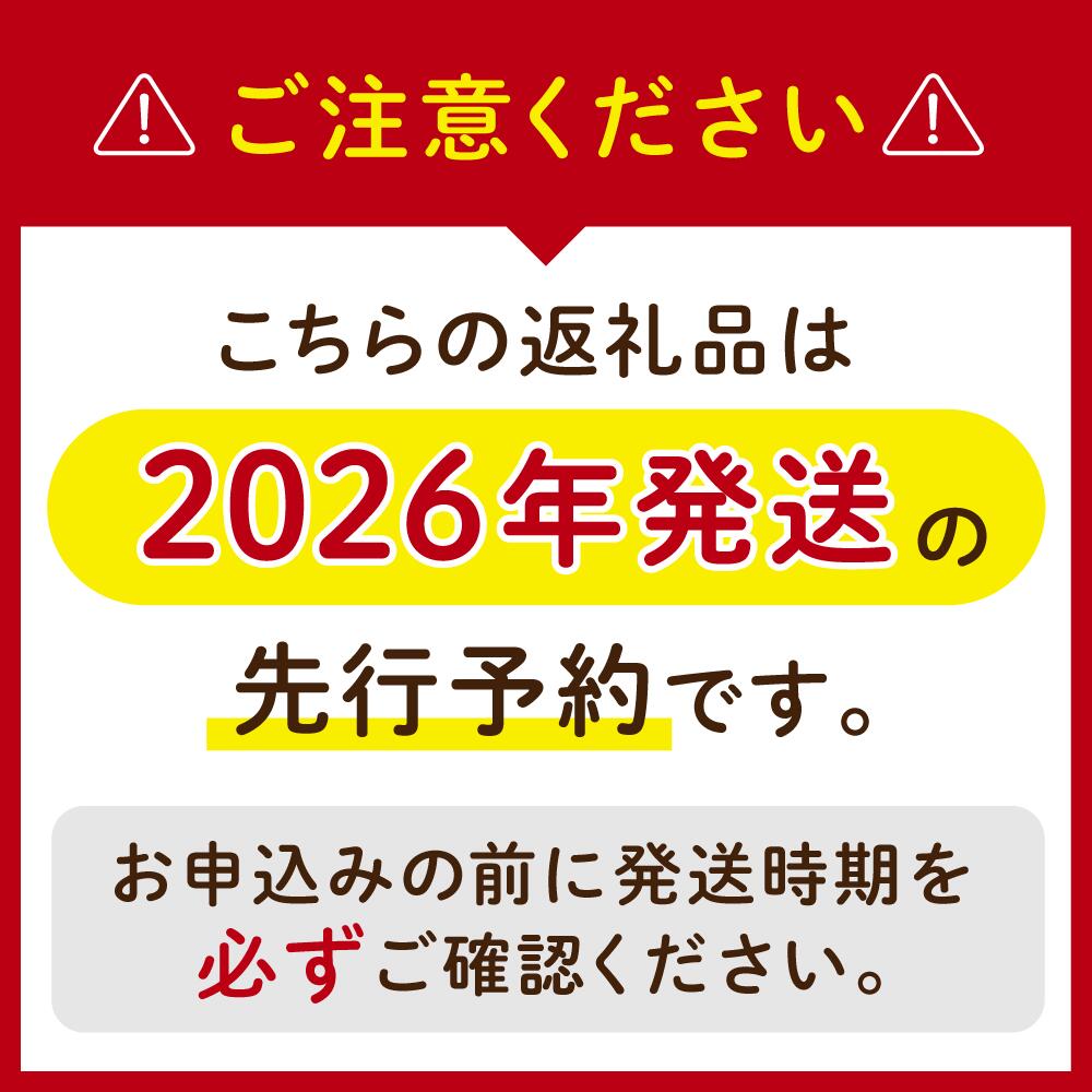 【2026年発送 先行予約】岡山県産贈答用ピオーネ 除草剤不使用 1kg2房 約1kg|ピオーネ 岡山ピオーネ ピオーネ ぴおーね ぶどう 葡萄 ブドウ 果物 【hana014-03】