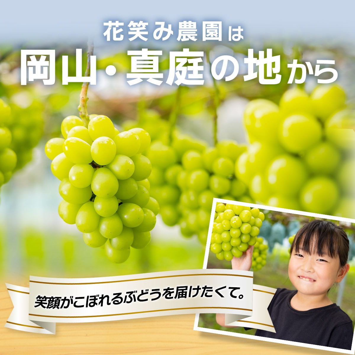 シャインマスカット【2026年先行予約】除草剤不使用 優品以上 1kg 2房 ぶどう シャインマスカット マスカット 葡萄 くだもの 果物 種なし 花笑み農園