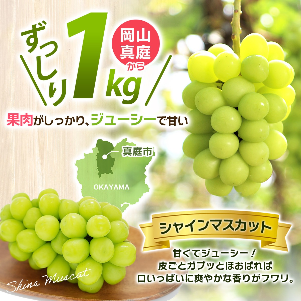 シャインマスカット【2026年先行予約】除草剤不使用 優品以上 1kg 2房 ぶどう シャインマスカット マスカット 葡萄 くだもの 果物 種なし 花笑み農園