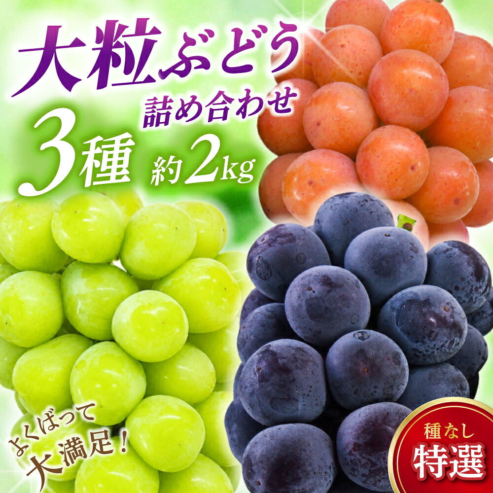 【2026年先行予約】 NISSHOKU FARM 特選 大粒ぶどう3種セット(シャインマスカット入り)| ぶどう 葡萄 果物 岡山県産 送料無料 ギフト 種なし スイーツ 葡萄 ぶどう 産地直送 農