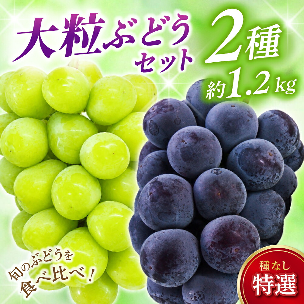ぶどう【2026年先行予約】特選大粒・減農薬 2種セット(シャインマスカット入り) 約1.2㎏ | シャインマスカット ピオーネ しゃいんますかっと ピオーネ シャインマスカット 果物 フルーツ マス