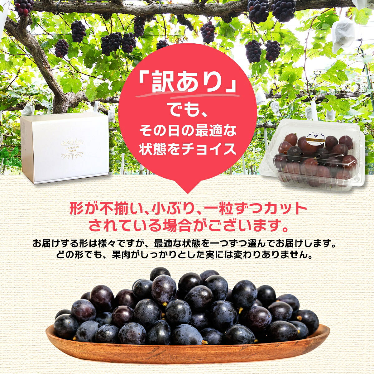 【先行予約】 岡山県産訳あり種なし ニューピオーネ 除草剤不使用 1kg以上 |ニューピオーネ ぴおーね ぶどう 葡萄 ブドウ 果物 フルーツ 産地直送 訳あり 葡萄 ブドウ 【hana033-02】