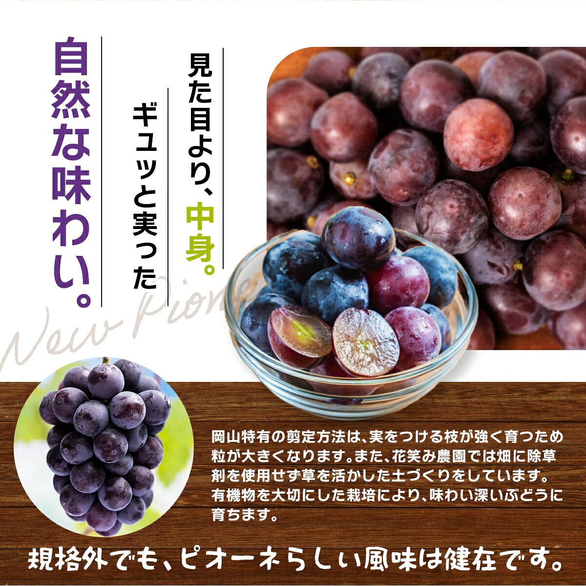 【先行予約】 岡山県産訳あり種なし ニューピオーネ 除草剤不使用 1kg以上 |ニューピオーネ ぴおーね ぶどう 葡萄 ブドウ 果物 フルーツ 産地直送 訳あり 葡萄 ブドウ 【hana033-02】