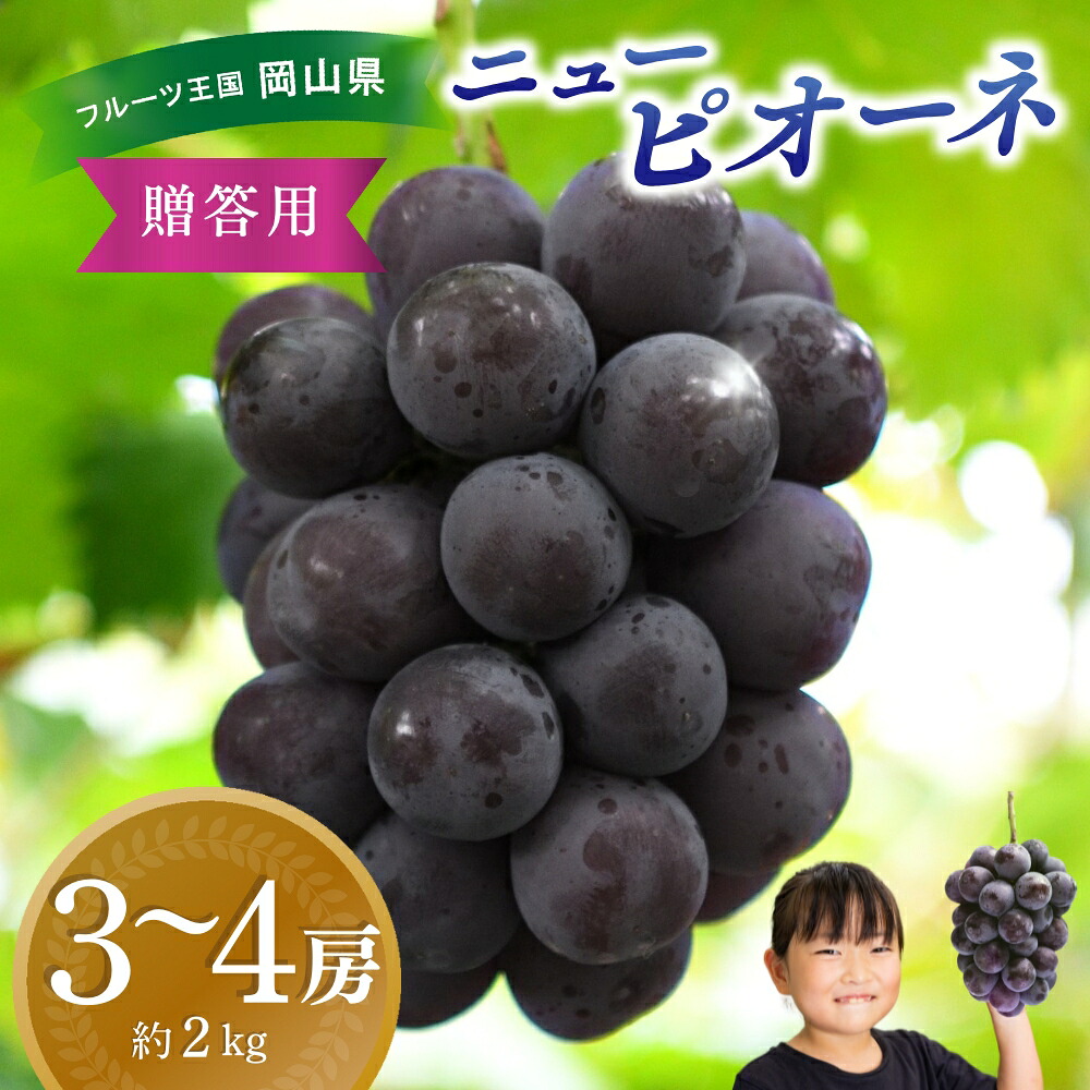 ニューピオーネ 除草剤不使用 3~4房 約2kg