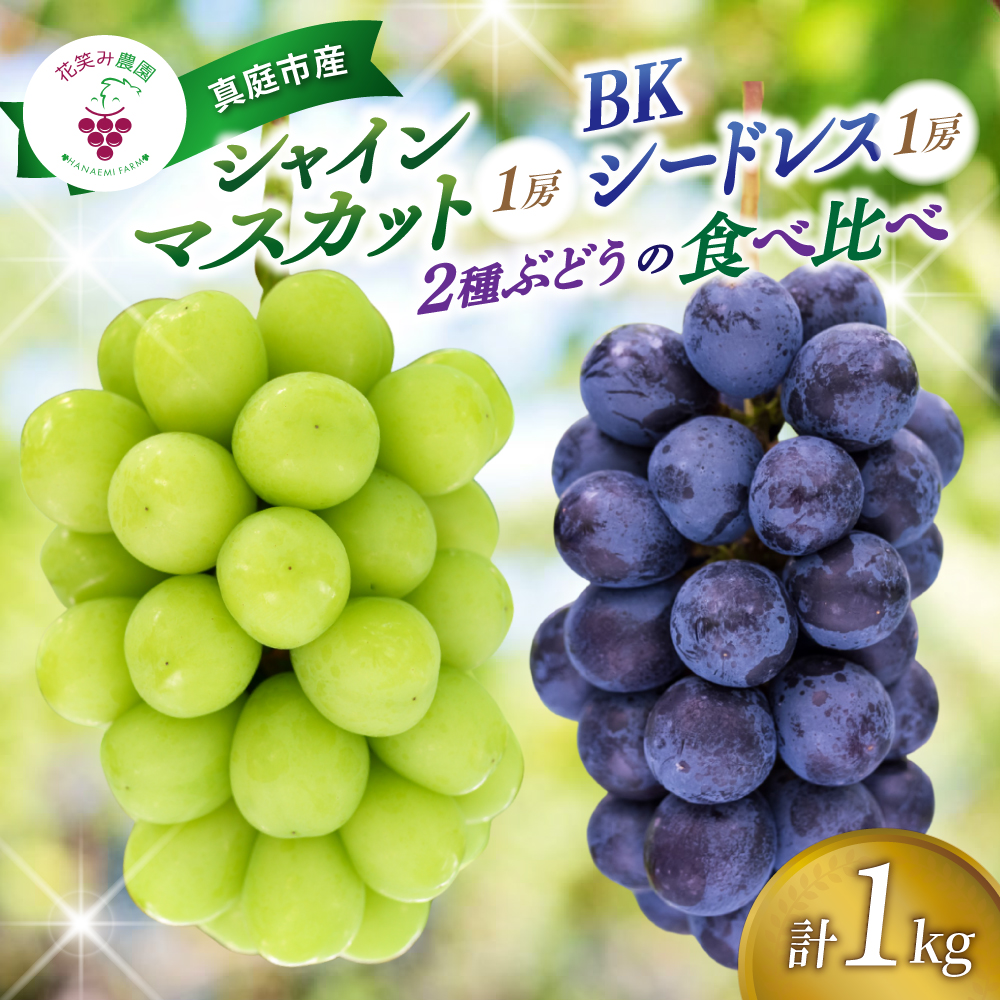 ぶどう【2026年先行予約】＜除草剤不使用＞ぶどう 食べ比べ 2種セット 1kg 2房 シャインマスカット BKシードレス ｜ ぶどう 葡萄 果物 岡山県産 送料無料 種なし 【hana047-02】