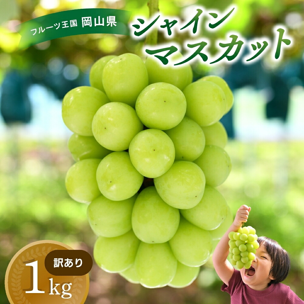 【2027年先行予約】訳ありシャインマスカット 除草剤不使用 訳あり 1kg以上 ｜ シャインマスカット 果物 フルーツ マスカット ますかっと くだもの 先行予約 ブドウ 葡萄 【hana035-03】