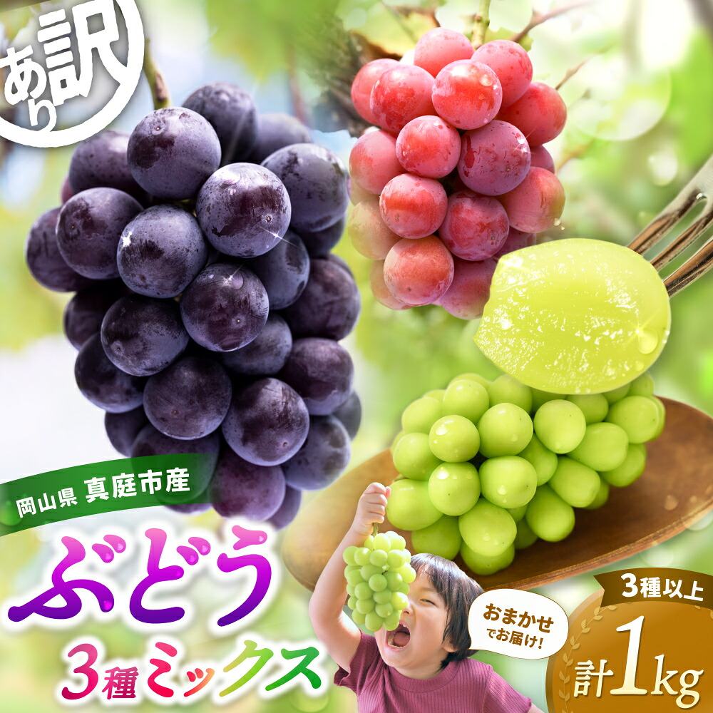 【2026年先行予約】岡山県産種無しぶどう詰め合わせ 3品種1kg 訳あり | シャインマスカット しゃいんますかっと シャインマスカット 果物 フルーツ マスカット ますかっと 【hana018-02】
