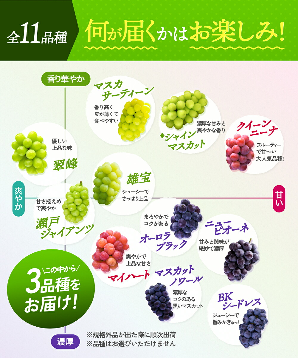【2026年先行予約】岡山県産種無しぶどう詰め合わせ 3品種1kg 訳あり | シャインマスカット しゃいんますかっと シャインマスカット 果物 フルーツ マスカット ますかっと 【hana018-02】