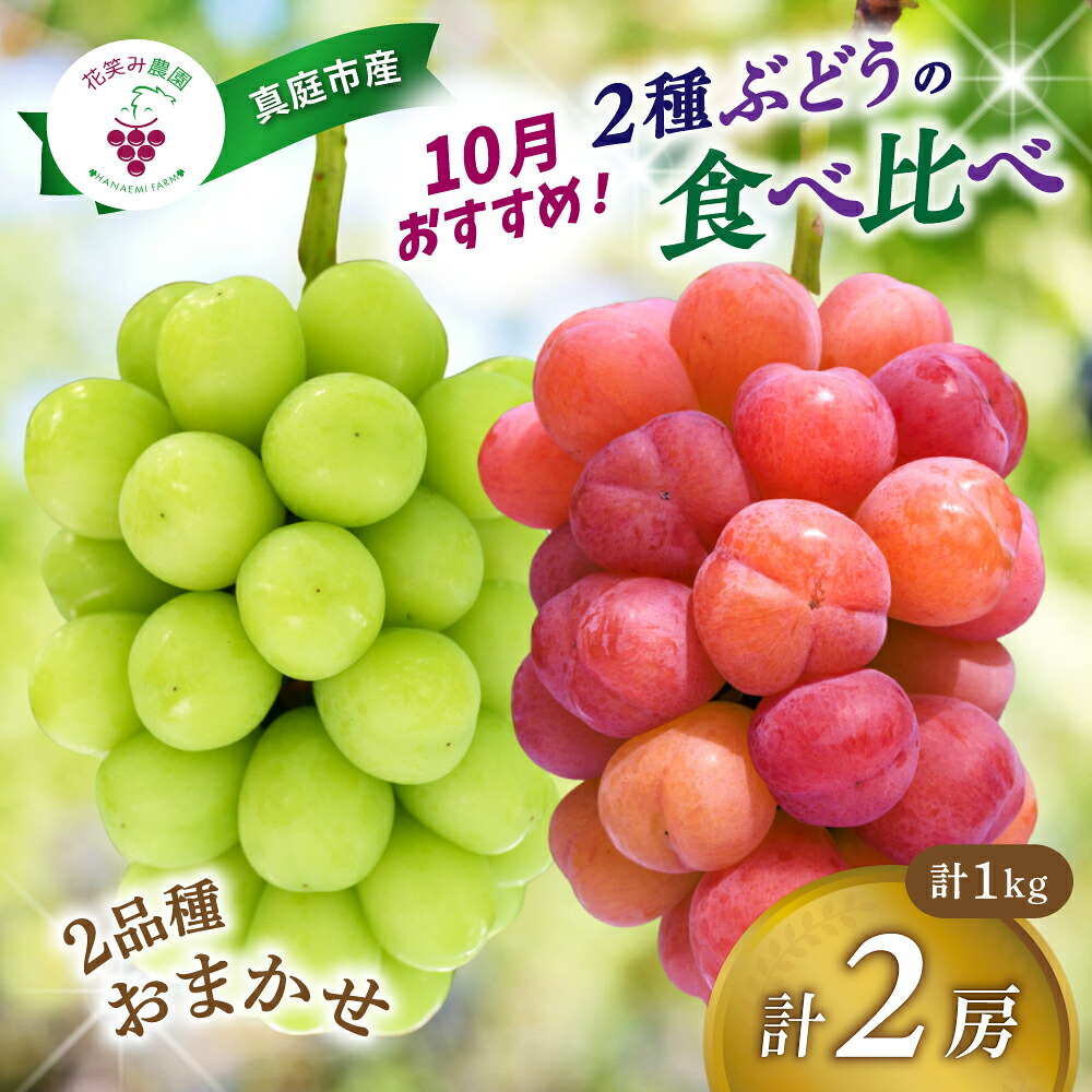 【2026年先行予約】おすすめ種なしぶどう詰め合わせ 2種セット 1kg 2房｜ ぶどう2種類 葡萄 果物 岡山県産 送料無料 ギフト 種なし スイーツ 葡萄 ぶどう 産地直送 【hana020-02】