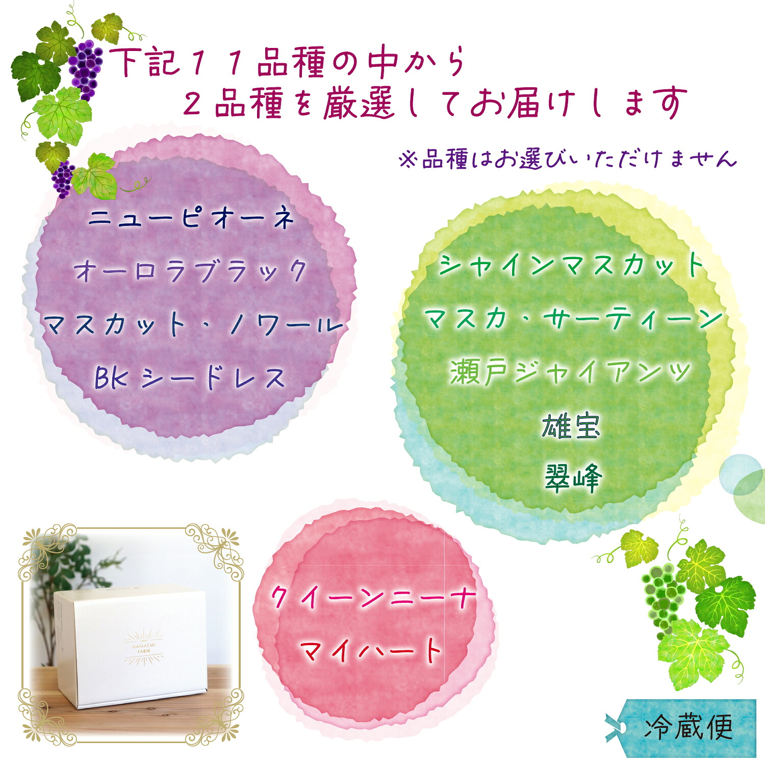 【2026年先行予約】おすすめ種なしぶどう詰め合わせ 2種セット 1kg 2房｜ ぶどう2種類 葡萄 果物 岡山県産 送料無料 ギフト 種なし スイーツ 葡萄 ぶどう 産地直送 【hana020-02】