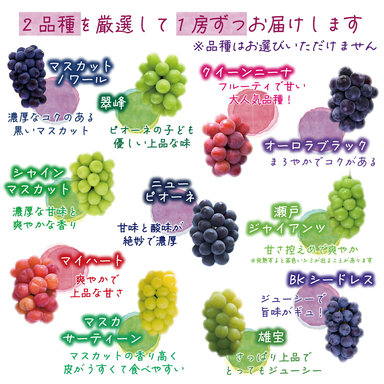 【2026年先行予約】おすすめ種なしぶどう詰め合わせ 2種セット 1kg 2房｜ ぶどう2種類 葡萄 果物 岡山県産 送料無料 ギフト 種なし スイーツ 葡萄 ぶどう 産地直送 【hana020-02】