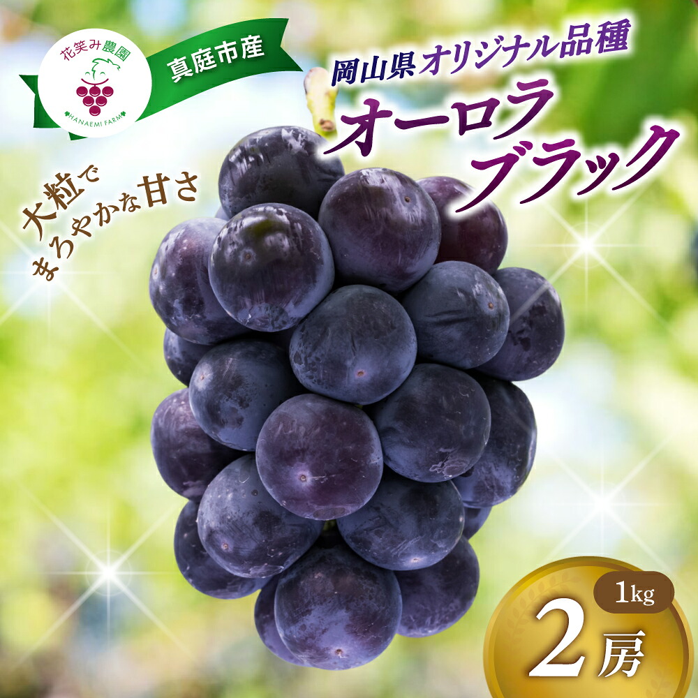 岡山県産種なしぶどう 【2027年先行予約】 オーロラブラック 1kg(2房)  | オーロラブラック 国産 ブドウ 花笑み農園 お取り寄せ 産地直送 2027年9月上旬～ 【hana030-03】