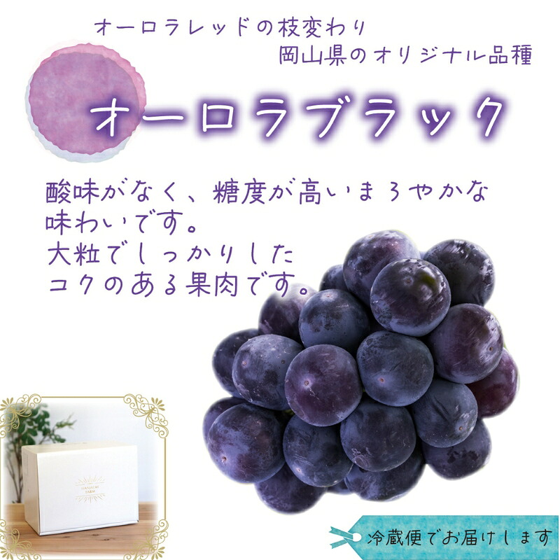 岡山県産種なしぶどう 【2027年先行予約】 オーロラブラック 1kg(2房)  | オーロラブラック 国産 ブドウ 花笑み農園 お取り寄せ 産地直送 2027年9月上旬～ 【hana030-03】