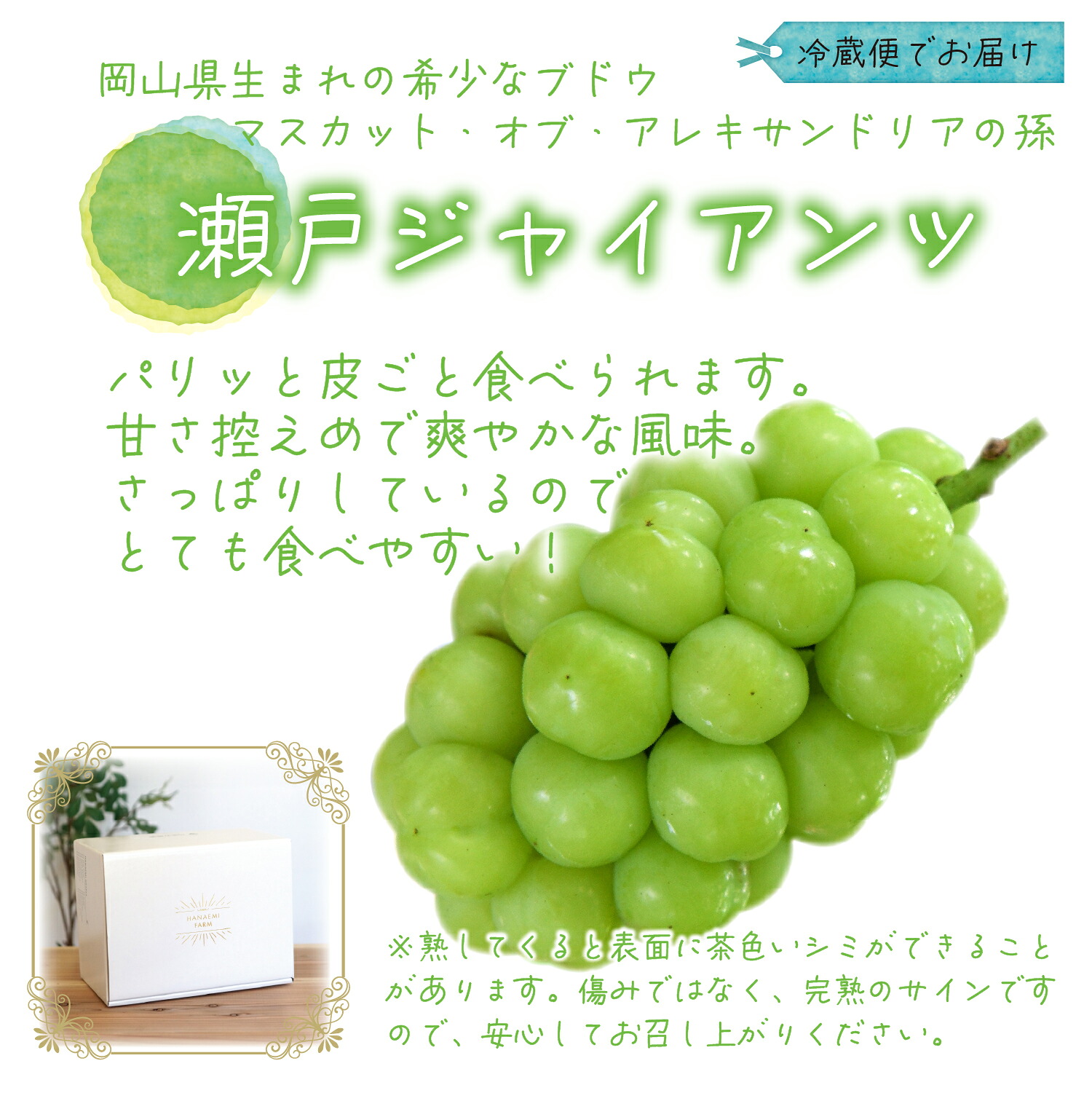 【2026年先行予約】種なしブドウ 岡山産 瀬戸ジャイアンツ 1kg ２房｜ぶどう 葡萄 種無し 果物 くだもの フルーツ 産地直送 皮ごと 花笑み農園【hana040-02】