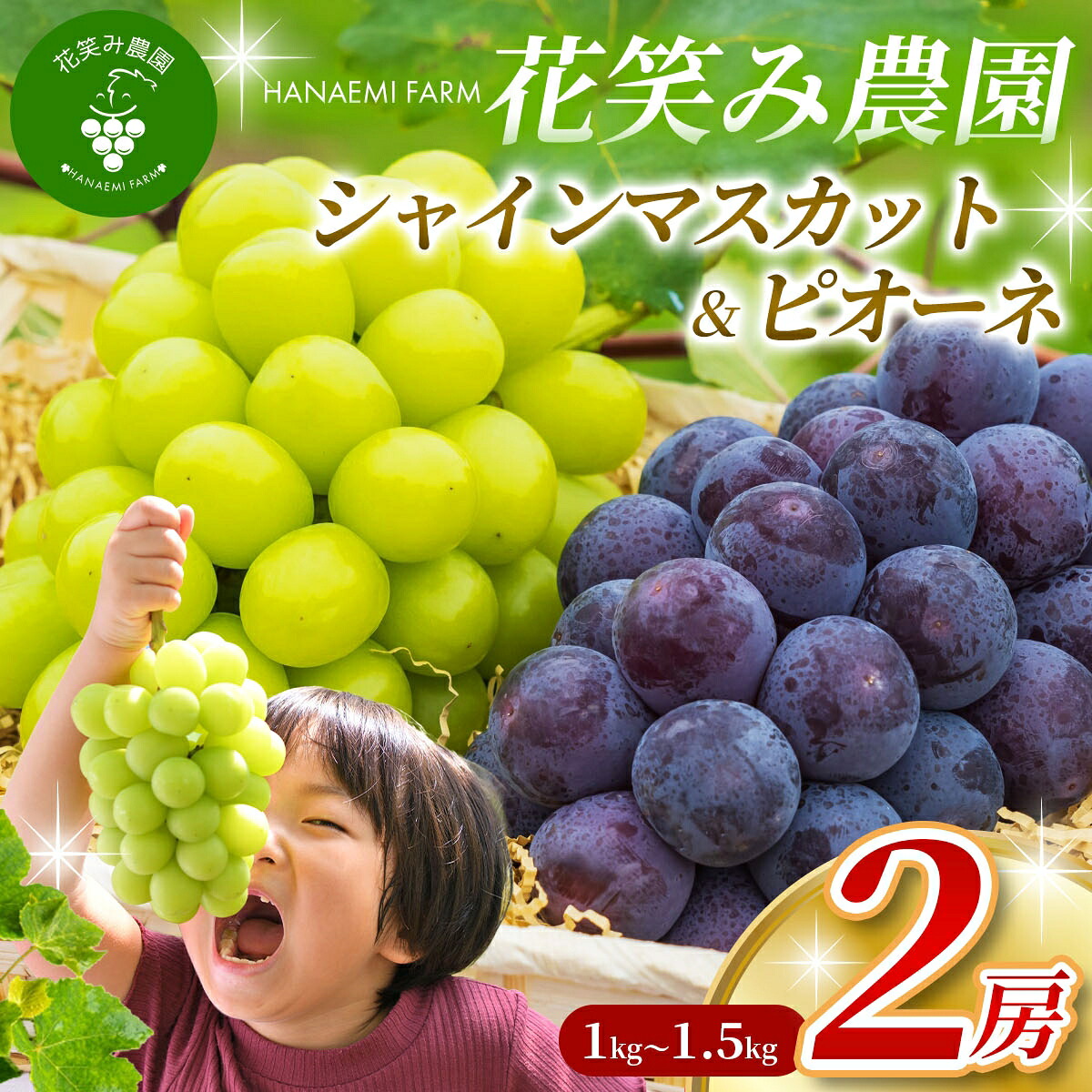 【2026年先行予約】土づくりからこだわったぶどう詰め合わせ シャインマスカット&ニューピオーネ 1kg~1.5kg 2房 | シャインマスカット しゃいんますかっと シャインマスカット 【hana007-03】