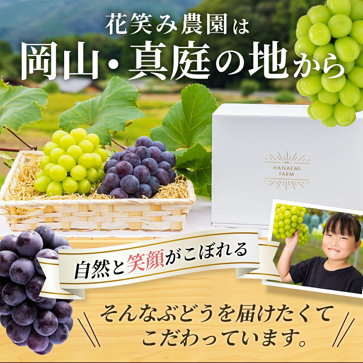 【2026年先行予約】土づくりからこだわったぶどう詰め合わせ シャインマスカット&ニューピオーネ 1kg~1.5kg 2房 | シャインマスカット しゃいんますかっと シャインマスカット 【hana007-03】