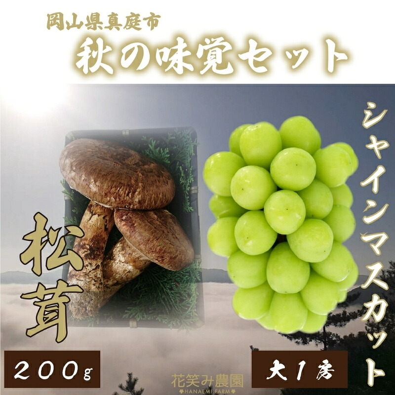 【2026年先行予約】花笑み農園　岡山の『松茸+シャインマスカット』秋の味覚セット 【hana022-02】