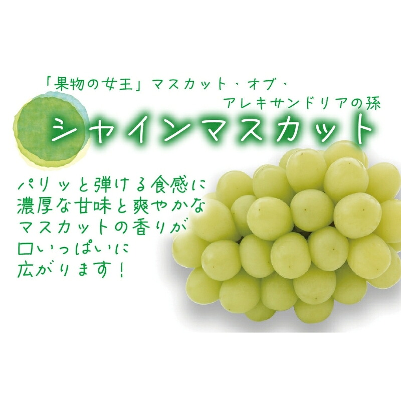 【2026年先行予約】花笑み農園　岡山の『松茸+シャインマスカット』秋の味覚セット 【hana022-02】