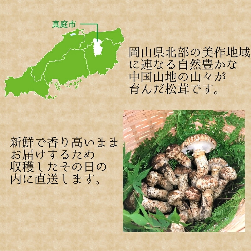 【2026年先行予約】花笑み農園　岡山の訳あり『松茸』200g 【hana023-02】