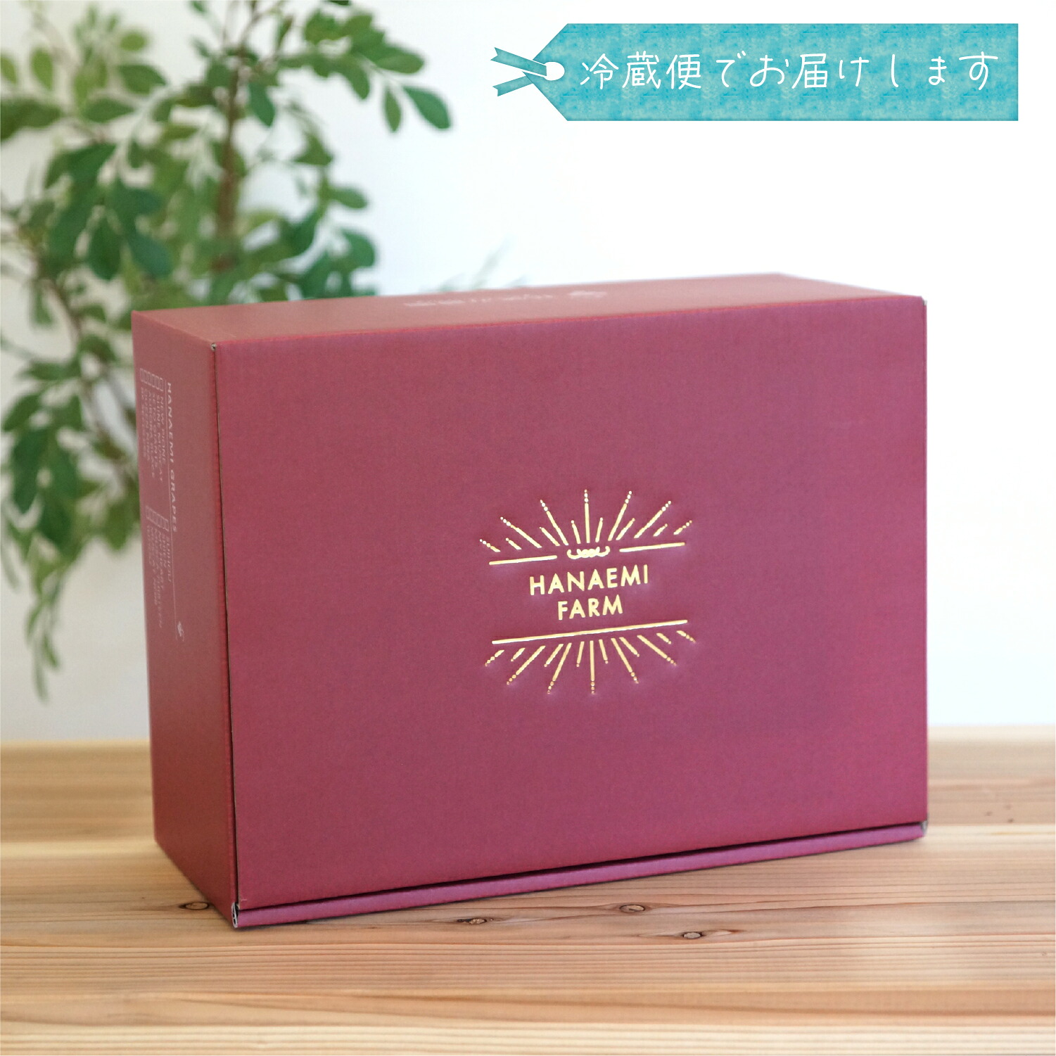 【 2026年 先行予約 】 岡山 BKシードレス 贈答用 2kg（3～4房） 花笑み農園 | ぶどう ブドウ 種無しぶどう 国産 果物 くだもの 葡萄 フルーツ 2キロ 甘い 【hana038-02】