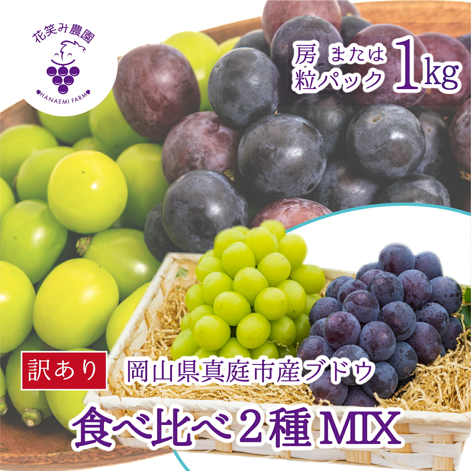 【2026年先行予約】 ぶどう 岡山 【訳あり】 花笑み農園の ぶどうおまかせ2種 （計1kg分お届け！） 農園厳選  ｜ ぶどう 葡萄 シャインマスカット ピオーネ 【hana049-02】