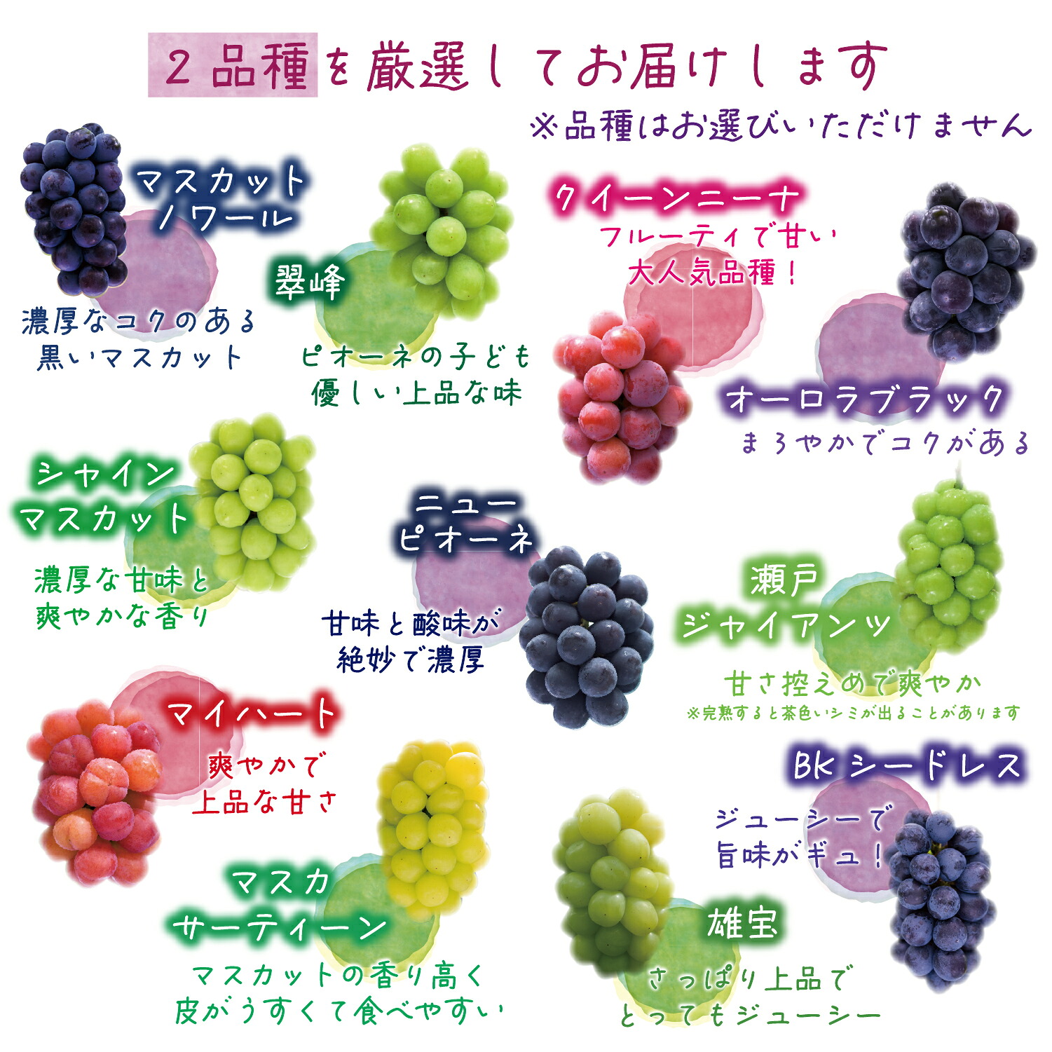 【2026年先行予約】 ぶどう 岡山 【訳あり】 花笑み農園の ぶどうおまかせ2種 （計1kg分お届け！） 農園厳選  ｜ ぶどう 葡萄 シャインマスカット ピオーネ 【hana049-02】