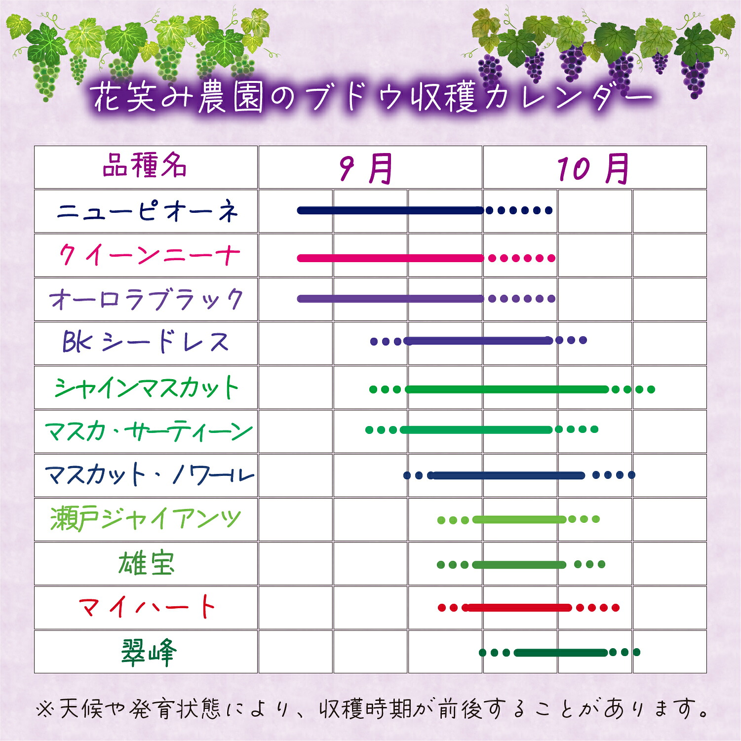 【2026年先行予約】 ぶどう 岡山 【訳あり】 花笑み農園の ぶどうおまかせ2種 （計1kg分お届け！） 農園厳選  ｜ ぶどう 葡萄 シャインマスカット ピオーネ 【hana049-02】